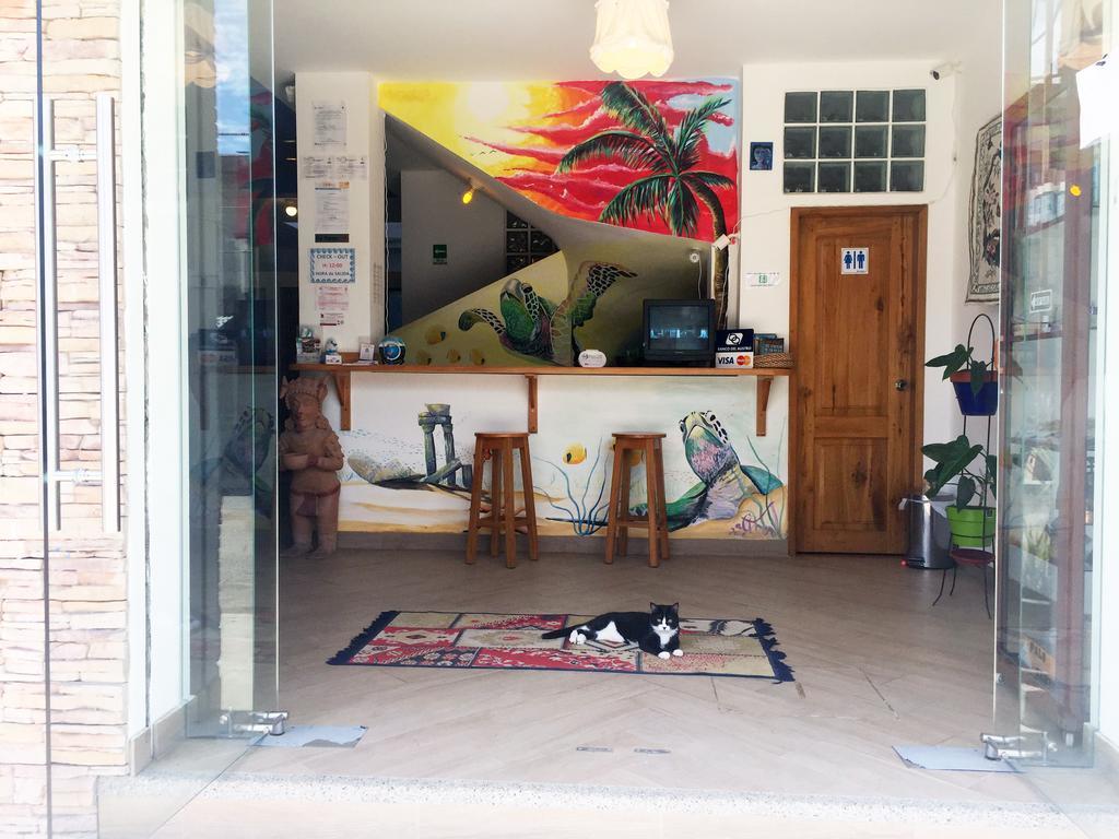 Hostal Yaku Montañita Dış mekan fotoğraf